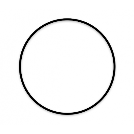 O-Ring 107,62X 2,62 KARCHER