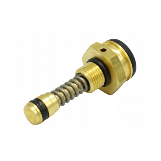 Zestaw części zamiennych tłok sterujący KÄRCHER 2.885-220.0